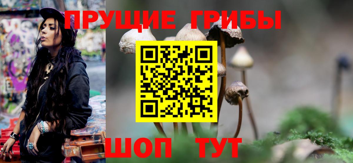 наркошоп  Вход с VPN  Псилоцибиновые грибы Psilocybine cubensis  Карталы  Галлюциногенные грибы мухоморы 